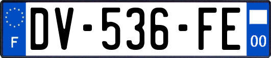 DV-536-FE