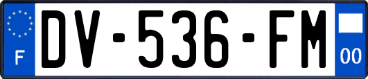 DV-536-FM