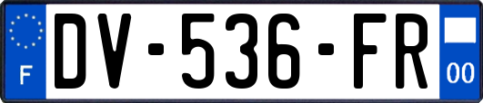 DV-536-FR