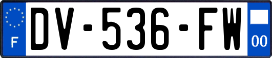 DV-536-FW