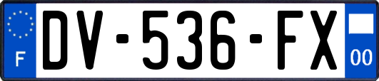 DV-536-FX