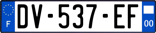 DV-537-EF