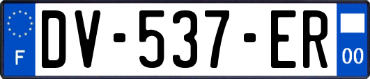 DV-537-ER