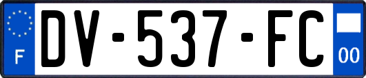 DV-537-FC