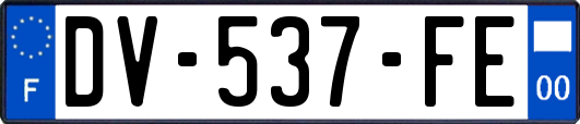 DV-537-FE