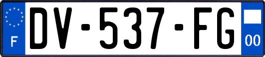 DV-537-FG