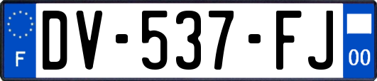 DV-537-FJ