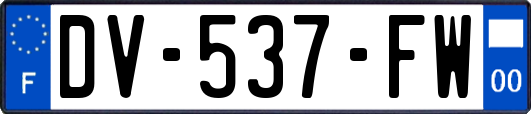 DV-537-FW