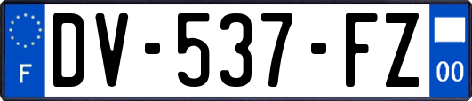 DV-537-FZ