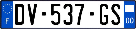 DV-537-GS