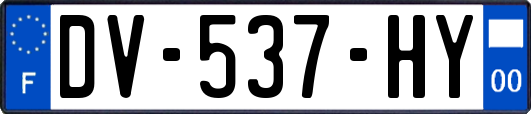 DV-537-HY