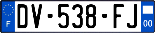 DV-538-FJ