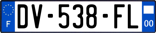 DV-538-FL