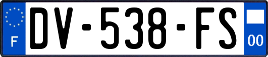 DV-538-FS