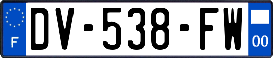 DV-538-FW