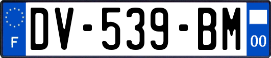 DV-539-BM