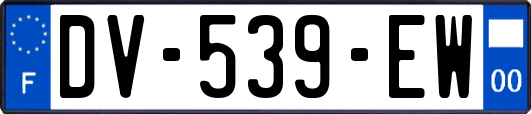 DV-539-EW