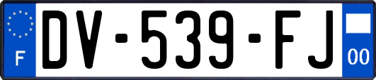 DV-539-FJ