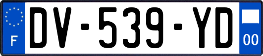 DV-539-YD