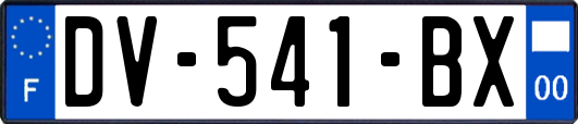 DV-541-BX