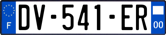 DV-541-ER