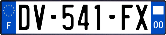 DV-541-FX