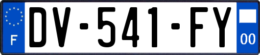 DV-541-FY