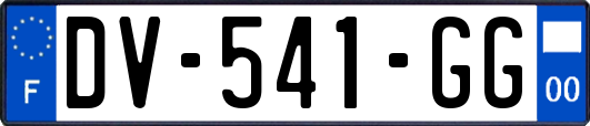 DV-541-GG