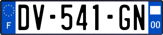 DV-541-GN