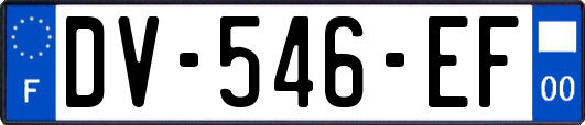 DV-546-EF