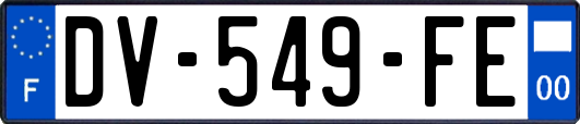 DV-549-FE