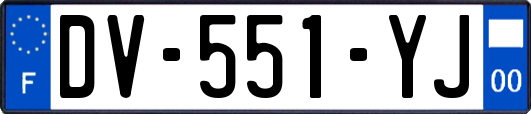 DV-551-YJ