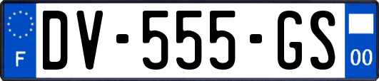 DV-555-GS