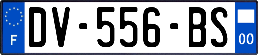 DV-556-BS