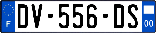 DV-556-DS