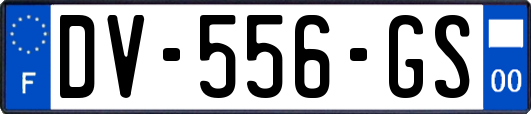 DV-556-GS