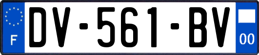 DV-561-BV