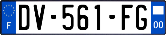 DV-561-FG