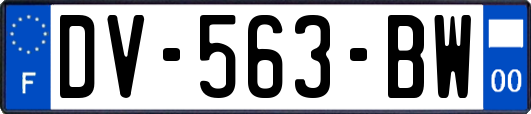 DV-563-BW