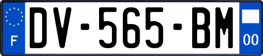 DV-565-BM