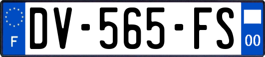 DV-565-FS