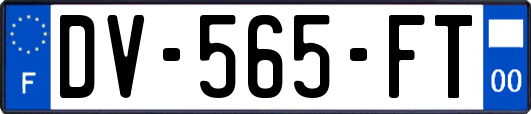 DV-565-FT