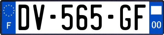 DV-565-GF