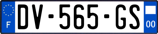 DV-565-GS