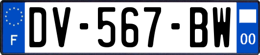 DV-567-BW