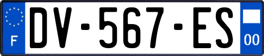 DV-567-ES