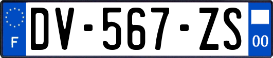DV-567-ZS