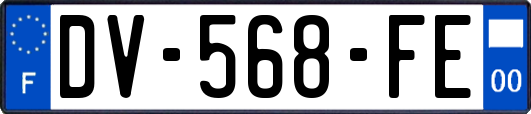 DV-568-FE