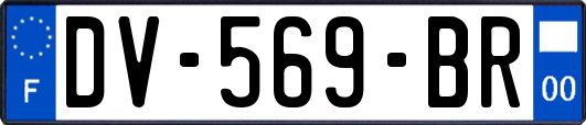 DV-569-BR