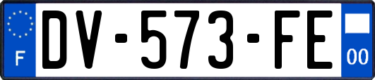 DV-573-FE